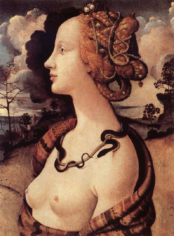Piero di Cosimo Portrat of Simonetta Vespucci Norge oil painting art